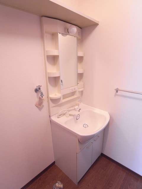 Washroom. Bathroom Vanity