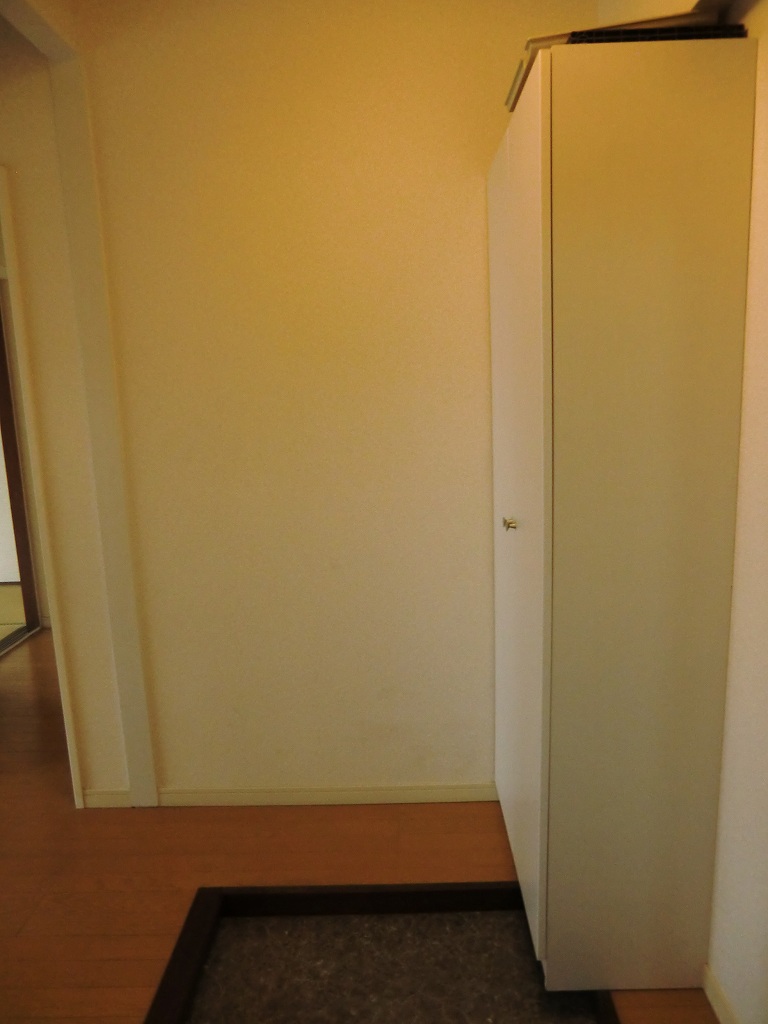Entrance. There is also a big shoes BOX.