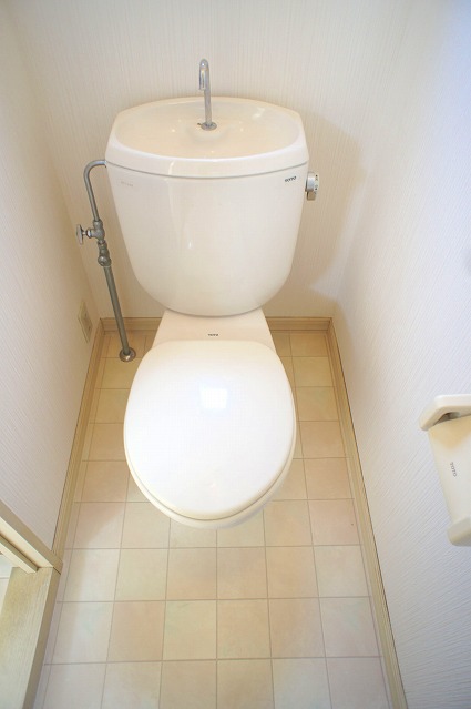 Toilet. March 2014, It is a photograph after cleaning