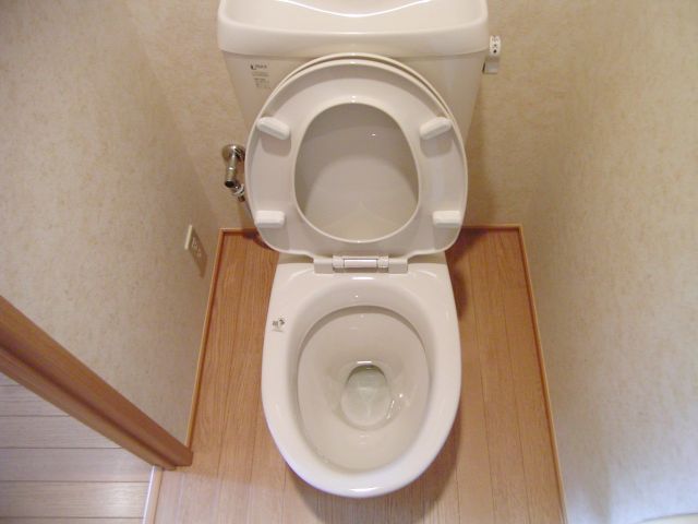 Toilet. Toilet