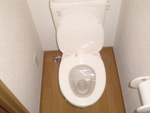Toilet. It is a Western-style toilet.