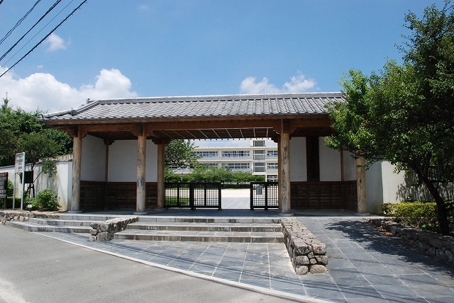 Primary school. Mizuki 50m up to elementary school (elementary school)