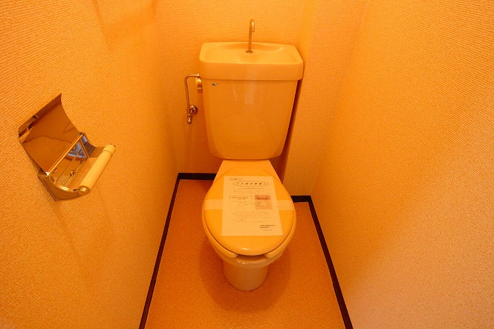 Toilet. toilet ※ Photo another, Room