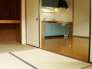 Other room space. Japanese style room