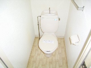 Toilet. Toilet