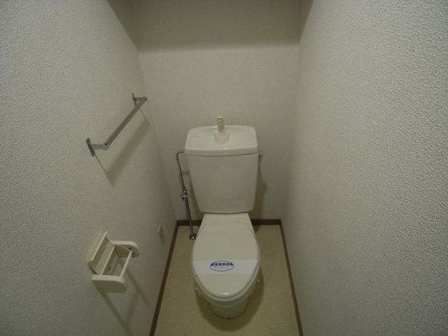 Toilet. It is a Western-style toilet.