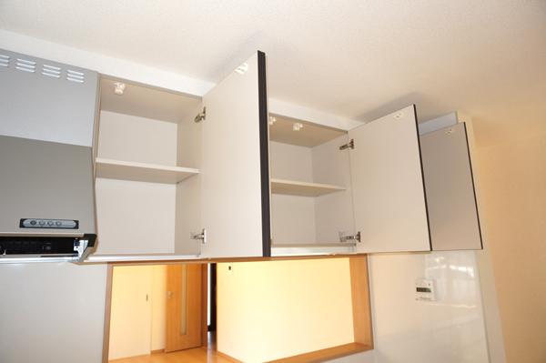 Same specifications photos (Other introspection)