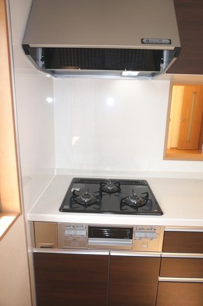 Same specifications photos (Other introspection)