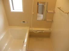 Bathroom. Bright bathroom cleaning is also easy specification (April 2013) Shooting