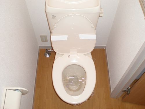 Toilet. Toilet