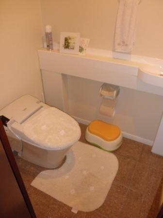 Toilet. Spacious space.