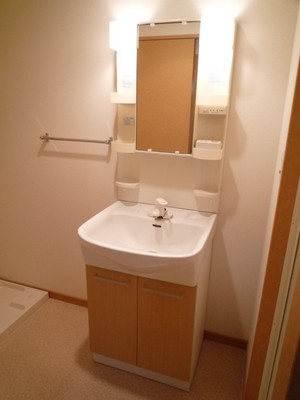 Washroom. Shampoo dresser