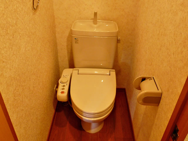 Toilet. Toilet (with washlet)