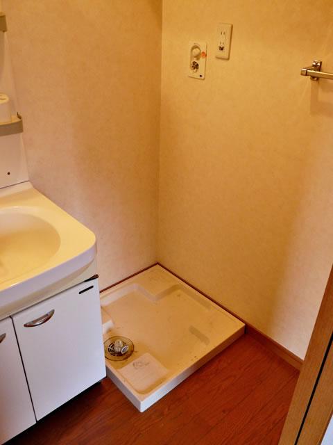 Washroom. Indoor Laundry Storage