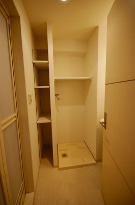 Washroom. Indoor Laundry Storage ☆