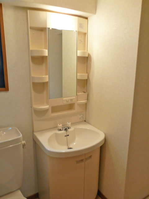 Washroom. Bathroom vanity