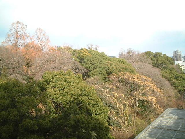 View photos from the dwelling unit. North side, you can enjoy the green of Fukuoka Castle Ruins.