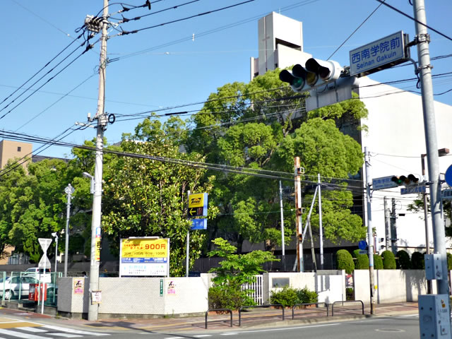 University ・ Junior college. Seinan Gakuin University (University of ・ 800m up to junior college)