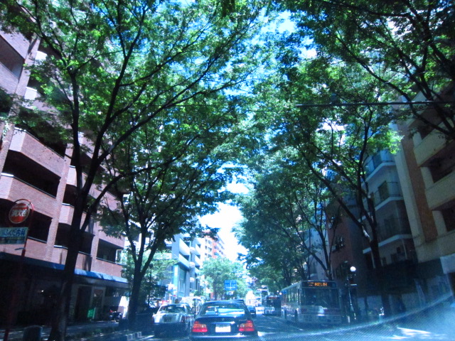 Shopping centre. Zelkova street until the (shopping center) 100m