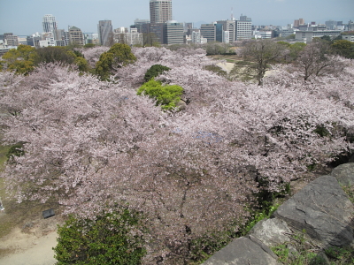 park. 700m to Maizuru Park (park)