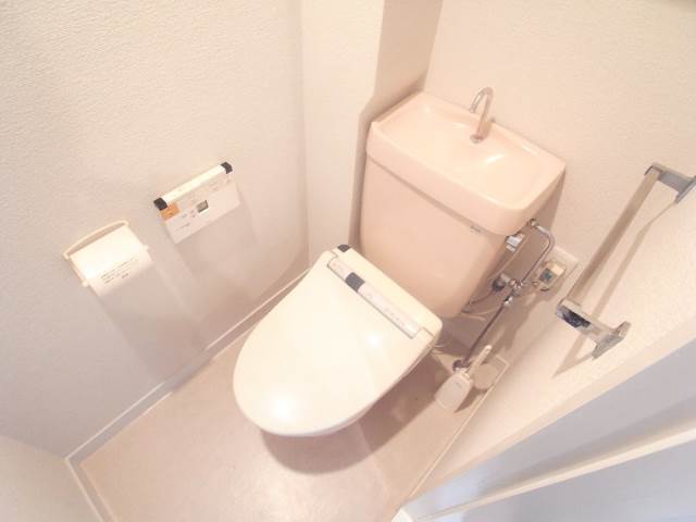 Toilet. Bidet with toilet