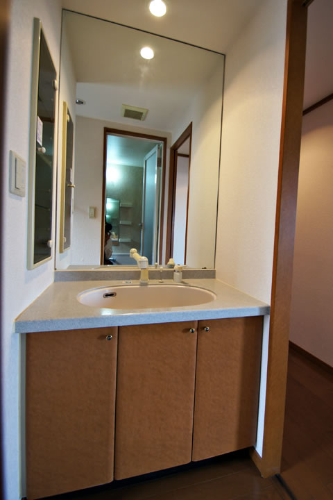 Washroom. Bathroom vanity