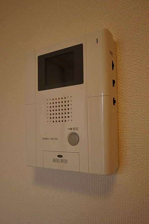 Security. TV monitor with intercom