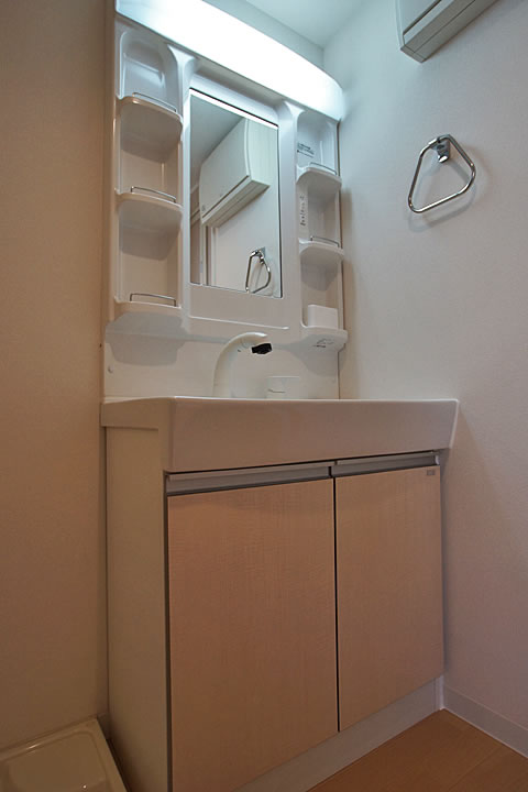 Washroom. Shampoo dresser