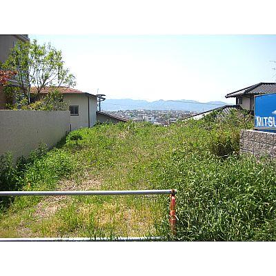 Local land photo. Local photos (2013.4.28)