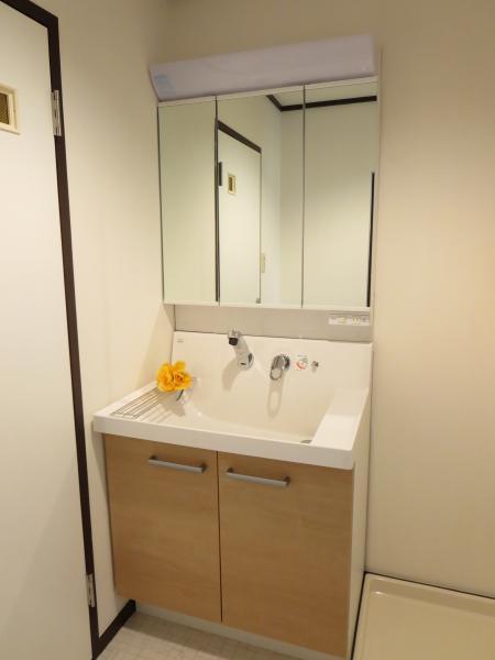 Wash basin, toilet. Vanity with shower, It is housed plenty.