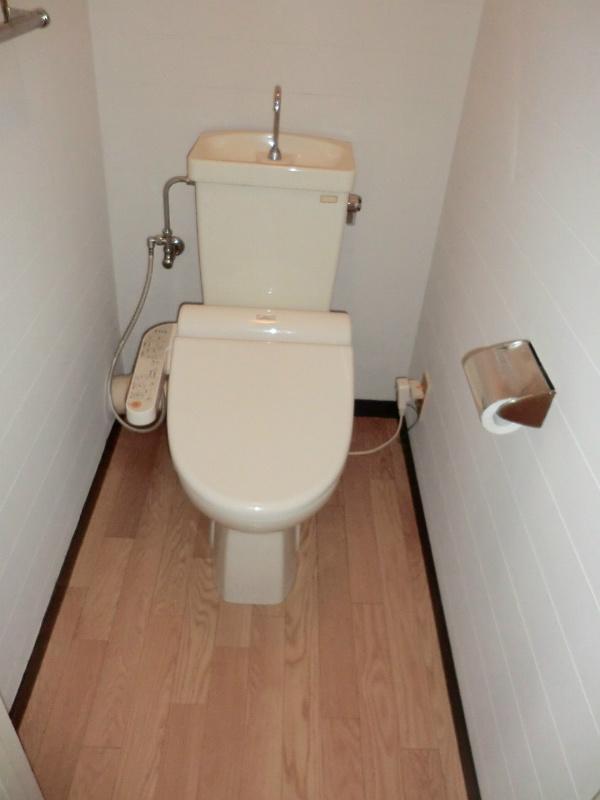 Toilet. It is with warm water washing toilet seat