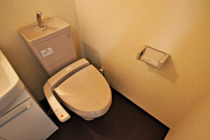 Toilet. Toilet (with washlet)