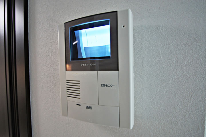 Security. TV monitor with intercom