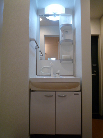 Washroom. Shampoo dresser