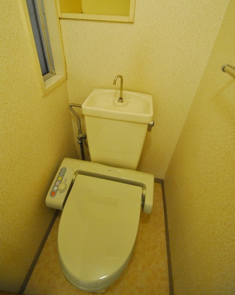 Toilet. Toilet course with Washlet