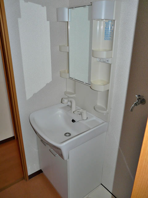 Washroom. Shampoo dresser