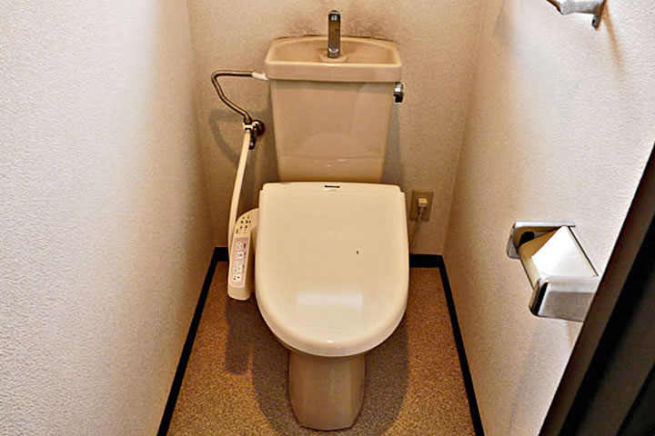 Toilet. Toilet (with washlet)