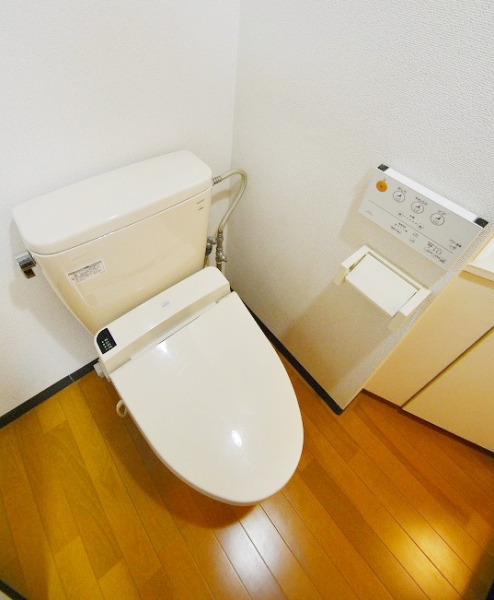 Toilet. Bidet with toilet