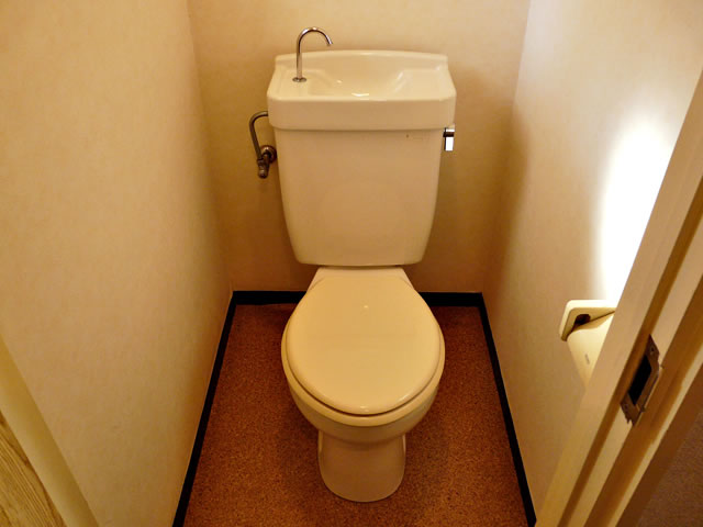 Toilet