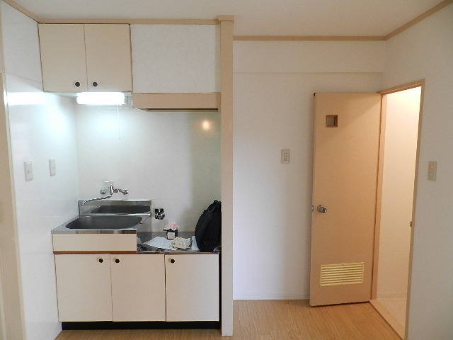 Kitchen. Kitchen is a compact size. Photo another, Room