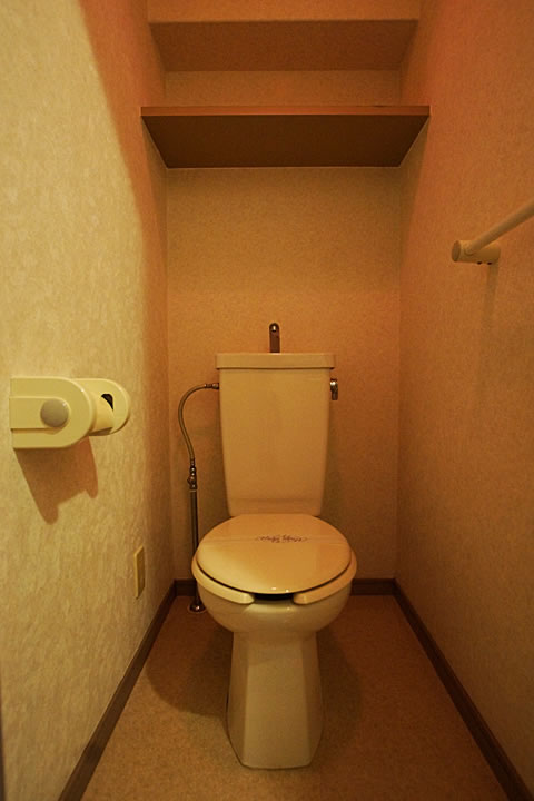 Toilet. Toilet