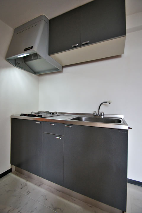 Kitchen. System Kitchen (2 lot gas stoves)