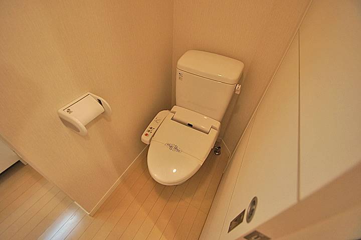 Toilet. Toilet (Washlet)