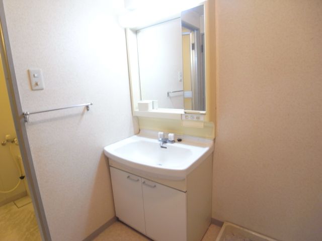 Washroom. Bathroom vanity