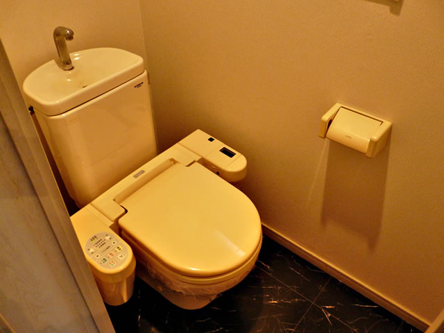 Toilet. Toilet (with washlet)