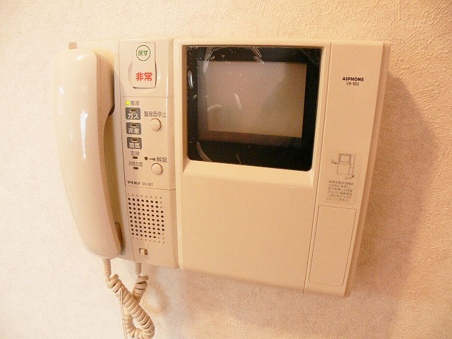 Security. TV monitor phone