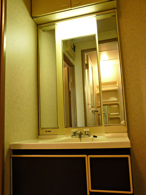 Washroom. Bathroom vanity