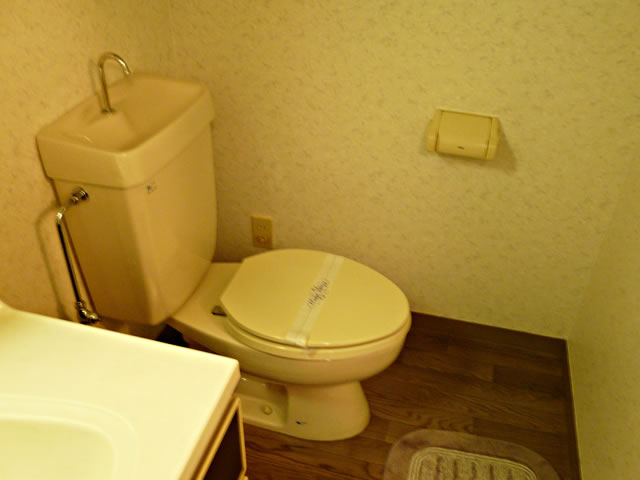 Toilet. Private toilet