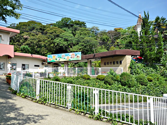 Other. Fukuoka City Zoo (Other) up to 400m