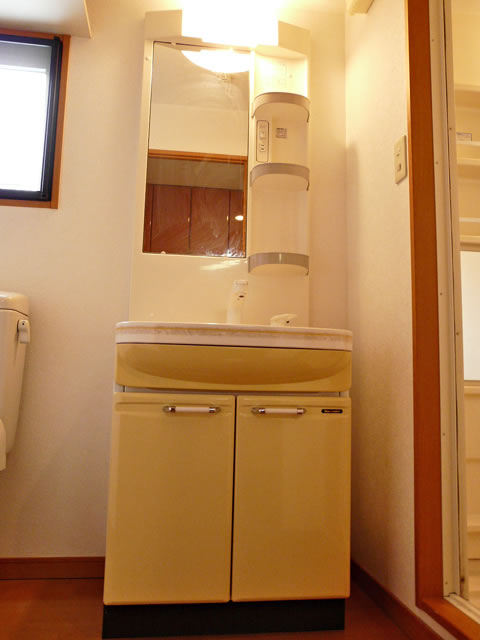 Washroom. Bathroom vanity